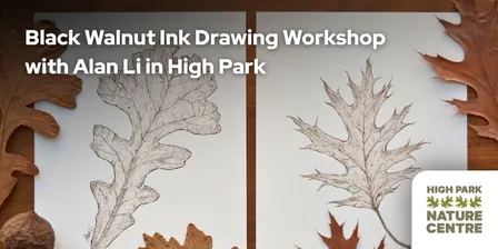 Drawing with Black Walnut Ink with Alan Li in High Park