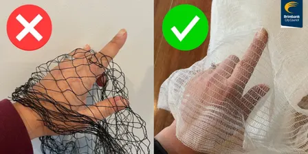 BRIMBANK RESIDENTS ONLY - Fruit Tree Net Swap (at Festive Funday Festival)