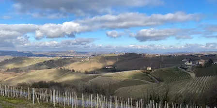 Piedmontese Wine Tasting with Vite Colte in Barolo