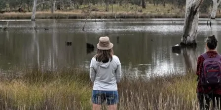 Reconnect with nature - a 1hr nature therapy taster