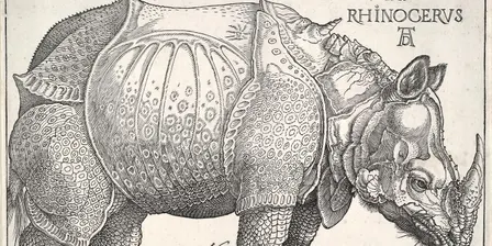 Albrecht Dürer at NGV 2pm tour
