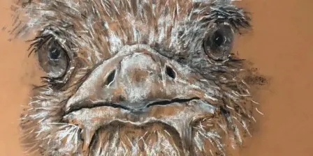 Charcoal Animal Portraits