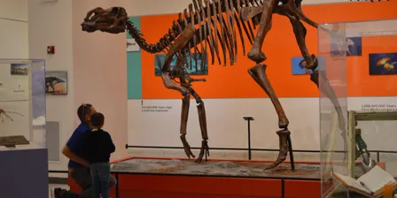 Small Explorers Learning Together - When Dinosaurs Roamed the Earth