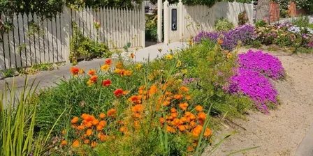 Nature strip garden design workshop