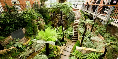 TBSC Hot Girl Walk Club - The Tropical Ravine Tour
