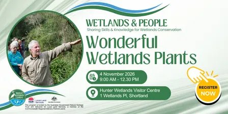 Wonderful Wetland Plants