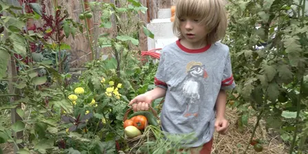 'Saving Walden’s World’ to Screen in Brookline MA