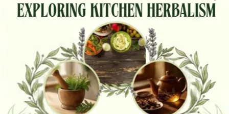Exploring Kitchen Herbalism