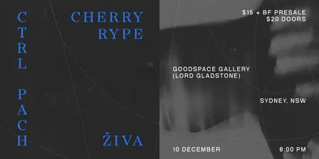 ŽIVA (VIC) + Cherry Rype + Ctrl Pach @ Goodspace Gallery