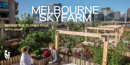 Melbourne Skyfarm: Behind the Scenes with Global Gardens of Peace