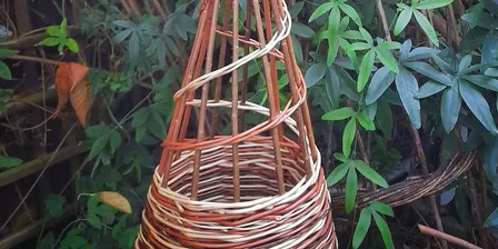 Willow Christmas Trees