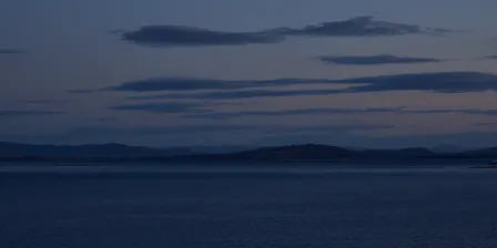MAKE FILM WORKSHOP WITH URSULA WOODS, RICHARD TUOHY AND DIANNA BARRIE - BRUNY ISLAND FILM FESTIVAL 2026