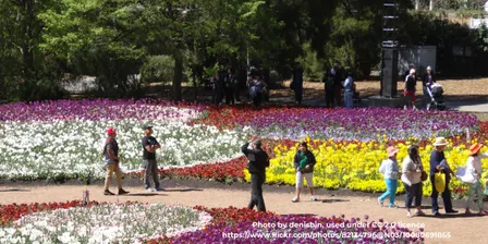 Floriade Go-Together Morning (closing weekend)