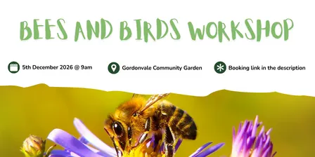 Bees & Birds Workshop