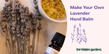 Make Your Own Lavender Hand Balm