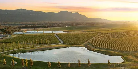 HUNTER VALLEY HIGHLIGHTS BUS TRIP! Hike, Wine and Chocolate Adventure! Moderate - 4.5KM