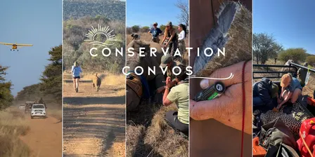 Conservation Convos Fundraising Event