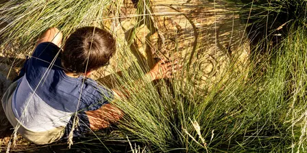 Biodiversity Positive Design: A Talk and Tour with Landscape Architects