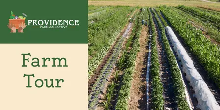 Innovating Agriculture and Food Systems Solutions at Providence Farm Collective