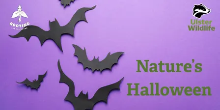 Natures Halloween with Rooting for Childhood - age 2-4