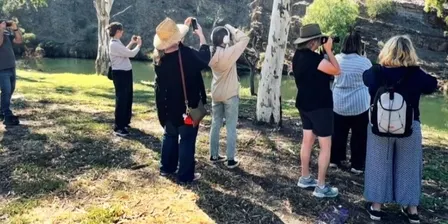 Photo Walk in Nature for Wellbeing; With Mama Jane (AKA Jane Marr)