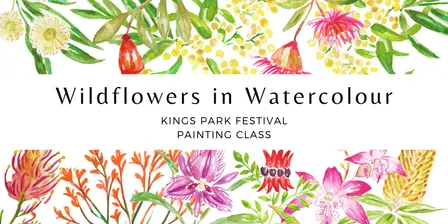 Wildflowers in Watercolour
