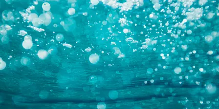 BATHED in SOUND (Oct 2026)