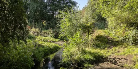 November river monitoring walk - Ford Green Brook central