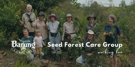 Barung Seed Forest Care Group - Working Bee September 2026