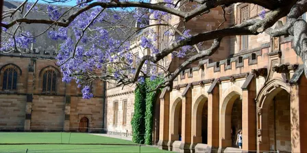 Social Work and Policy Studies Research Seminar