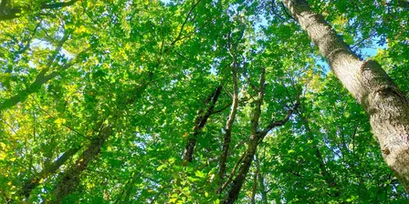 From Chaos to Calm: an embodied exploration of your nervous system