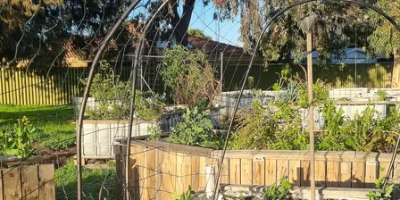 Wicking Beds 101 - Waterwise Gardening