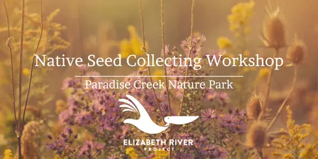 Native Seed Collecting Workshop