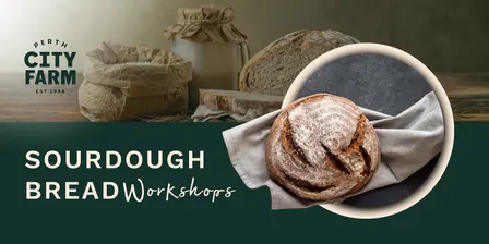 Sourdough Bread Workshops with Tim Sept/Oct 2026