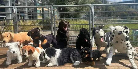 Discovering Dogs II (7 - 12 years) Spring