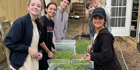 Third Saturday Volunteering and Potluck