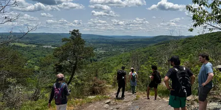 Cats Rock OCT1126