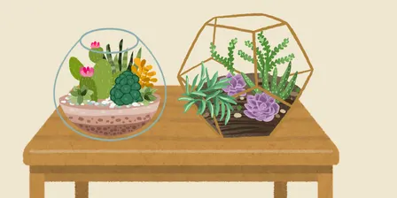 School Holliday : Garden Terrarium Workshop.