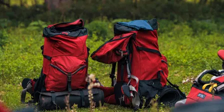 Bronze Hiking Expedition (24046), Berowra, 29 - 30 Sept