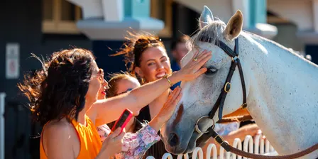 Newcastle Midweek Race Day