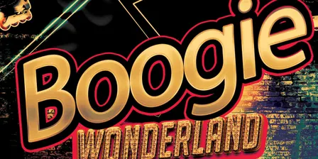 Boogie Wonderland Tribute Night - Stourport