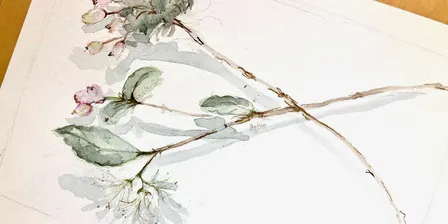 Botanical Watercolour Workshop using Natural plant pigments - All skill levels (Adults 16+)