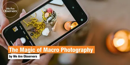 Phone Photography - The Magic of Macro Photography - 14.11.26