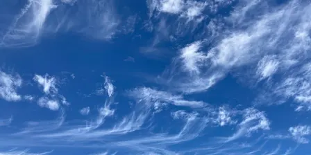 FREE monthly community MEDITATION