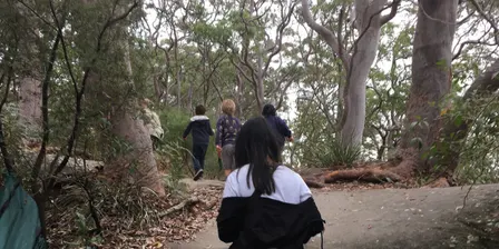 Family Bushwalk - Spring 2026