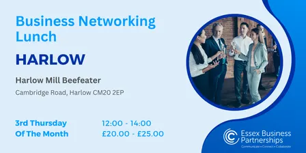 Harlow Lunch Networking