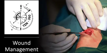 TEN-360: Wound Management 2026