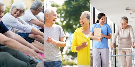 NSW Fall Prevention & Healthy Ageing Network - 2027 Annual Forum