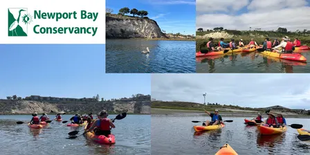 Discover Upper Newport Bay Kayak Tour
