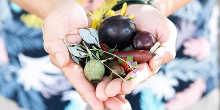 Australian Food & Culture Walking Tour Sydney (with Lunch & Wine)